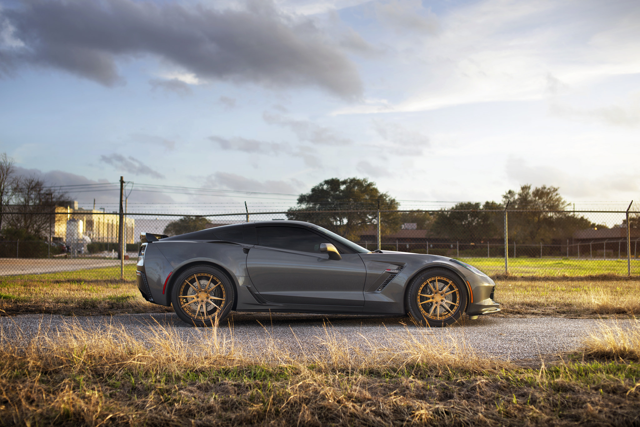 Custom Chevy Corvette Z06 - Photo by Niche