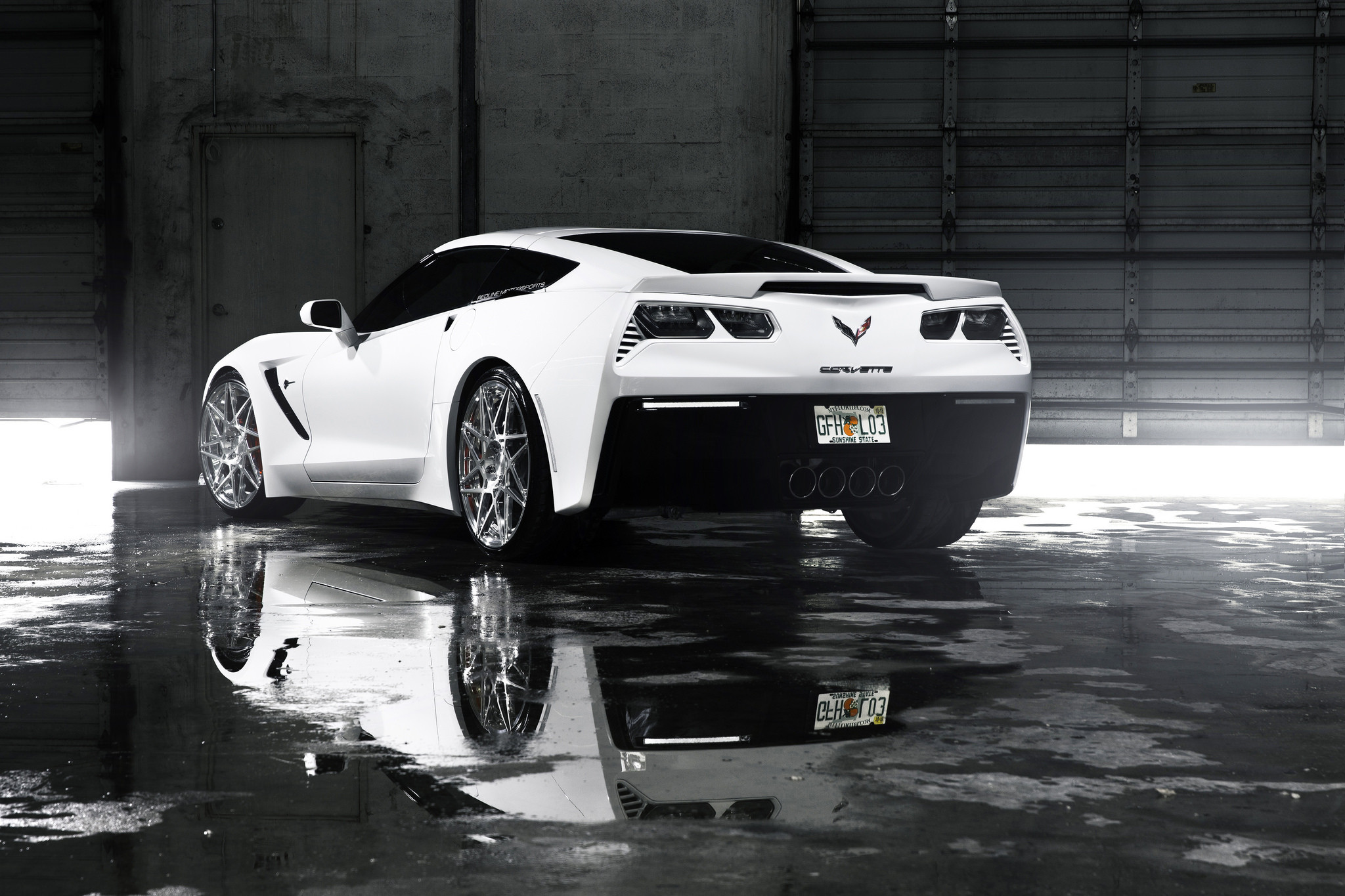 Chevy Corvette Pinted Taillight Bezels - Photo by Niche