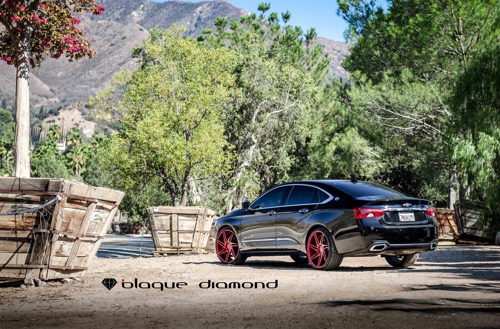 Stanced Chevy Impala Sedan - Photo by Black Diamond