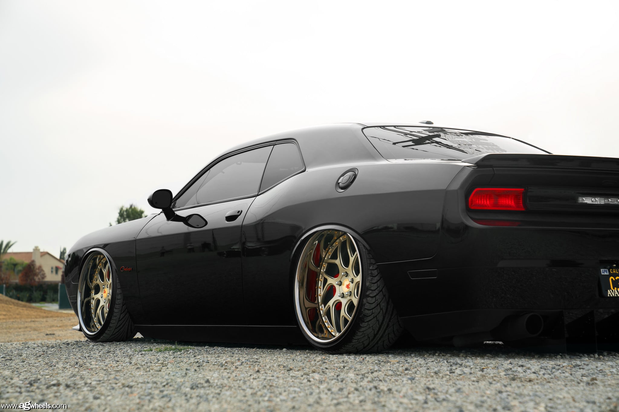 Brushed Champagne Avant Garde Rims on Dodge Challenger - Photo by Avant Garde Wheels