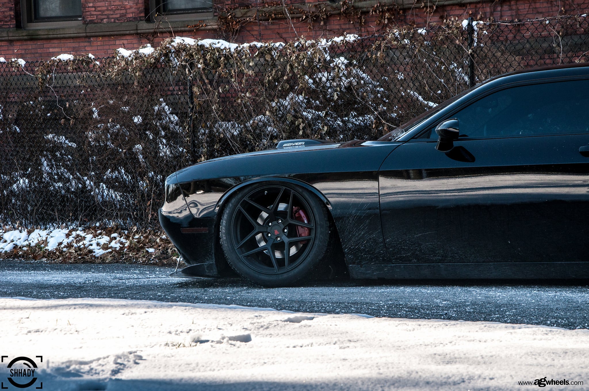 Black Dodge Challenger RT on Federal Couragia Tires - Photo by Avant Garde Wheels