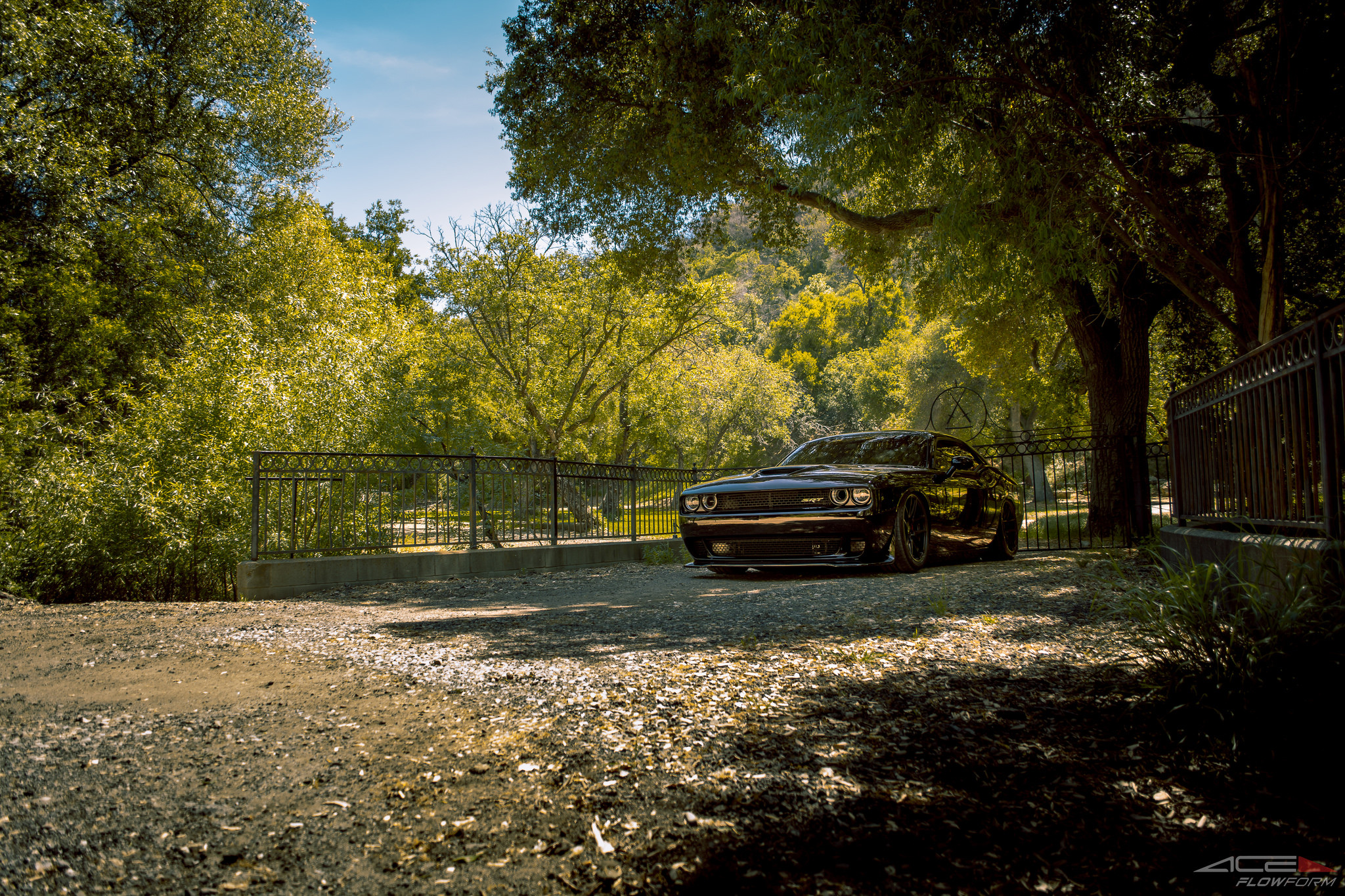 Black Dodge Challenger SRT - Photo by ACE Alloy