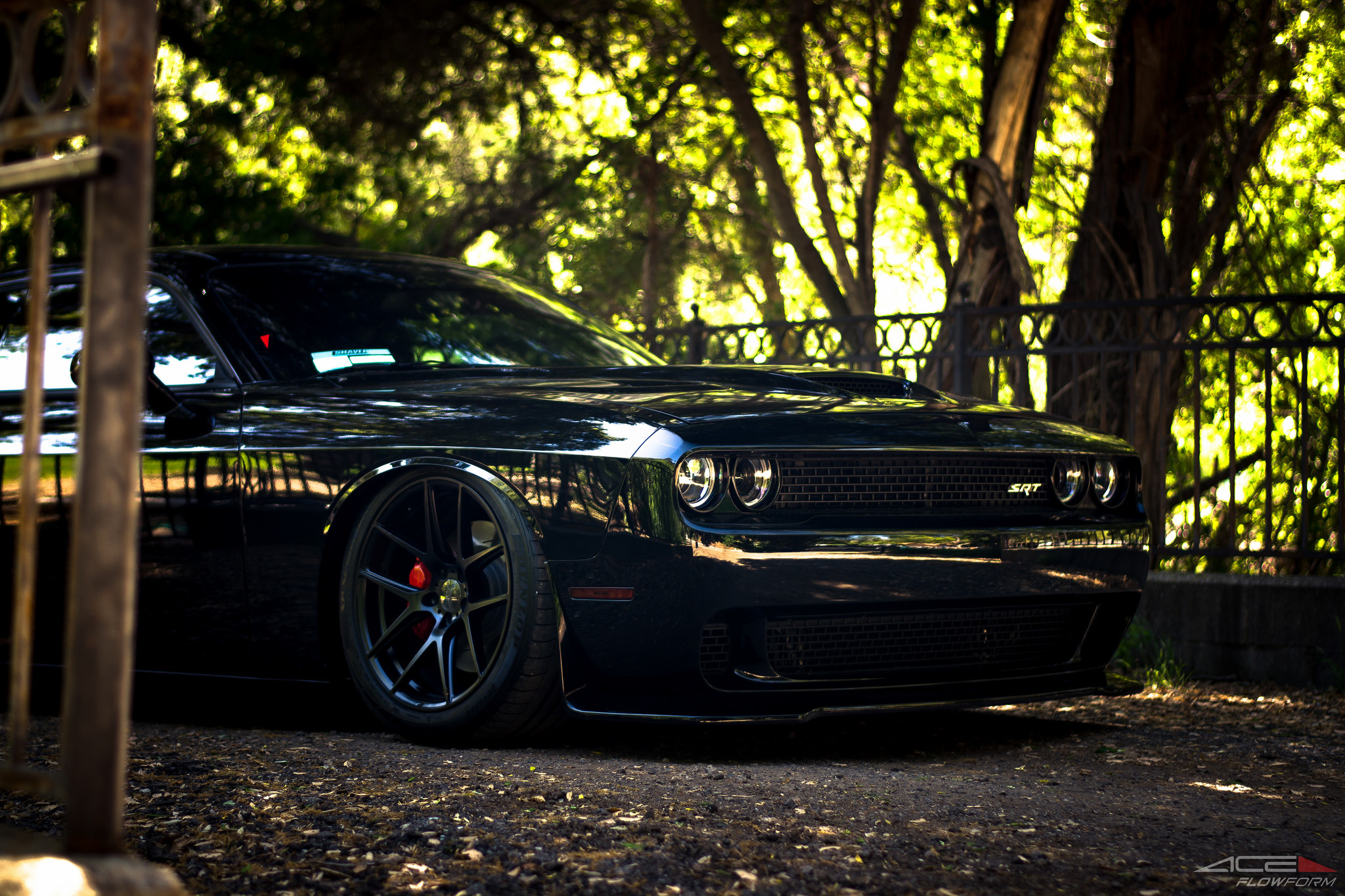 Stanced Dodge Challenger SRT - Photo by ACE Alloy