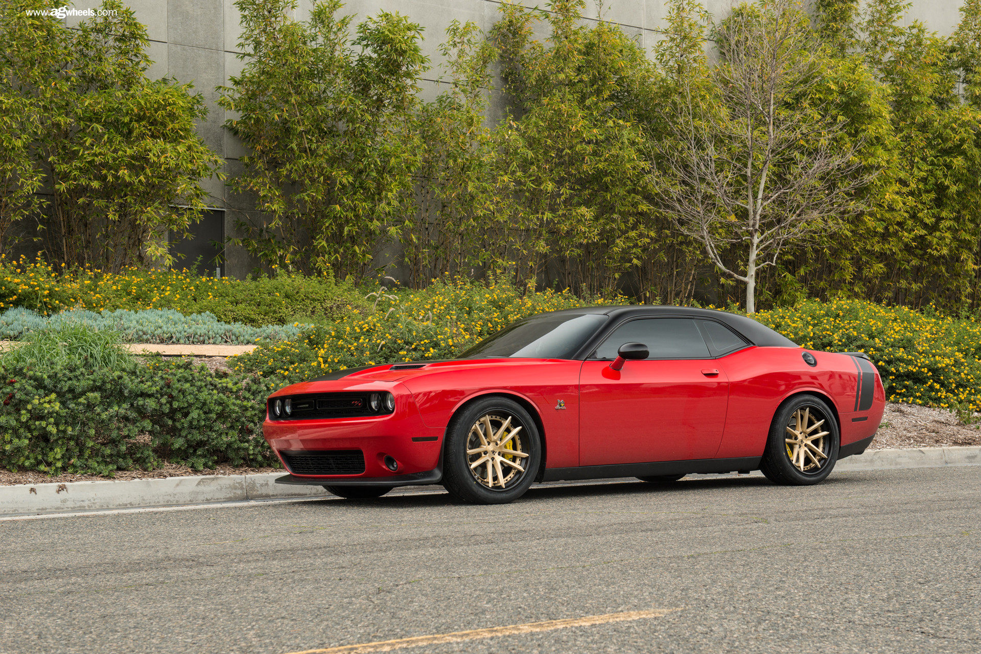 Red Dodge Challenger With Black Roof - Photo by Avant Garde