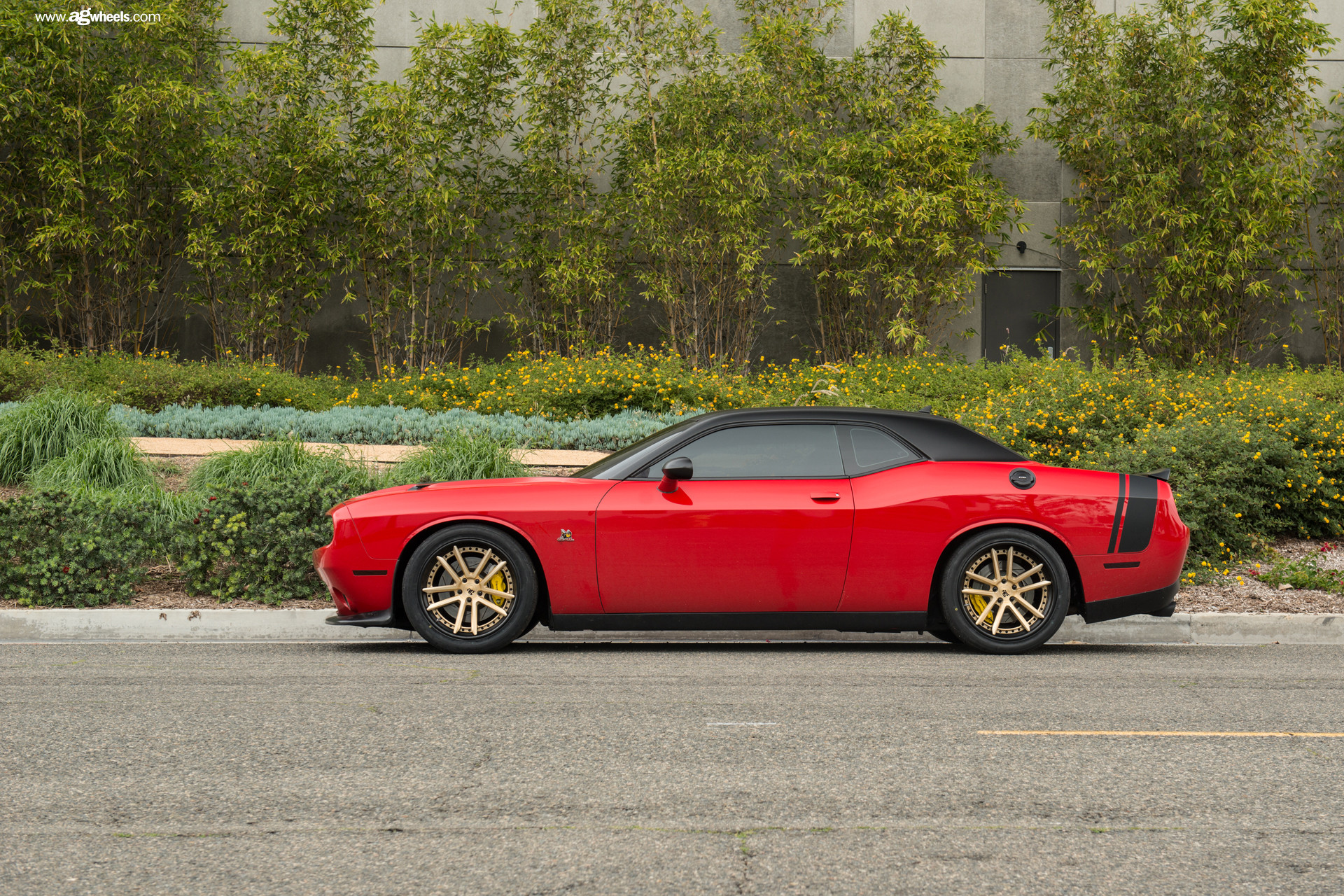 Dodge Challenger Scat Pack - Photo by Avant Garde