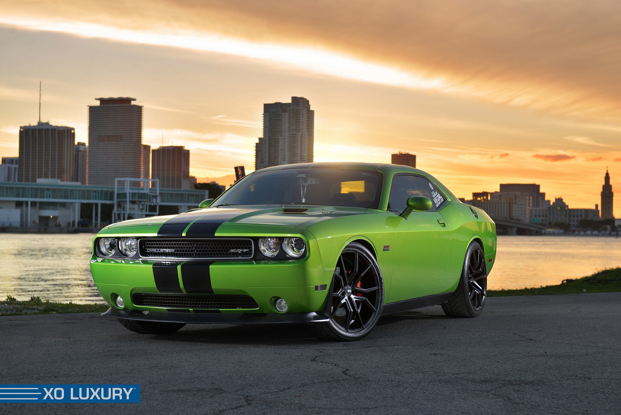Dangerous Snake - Green SRT8 Challenger by XO Luxury | CARiD.com