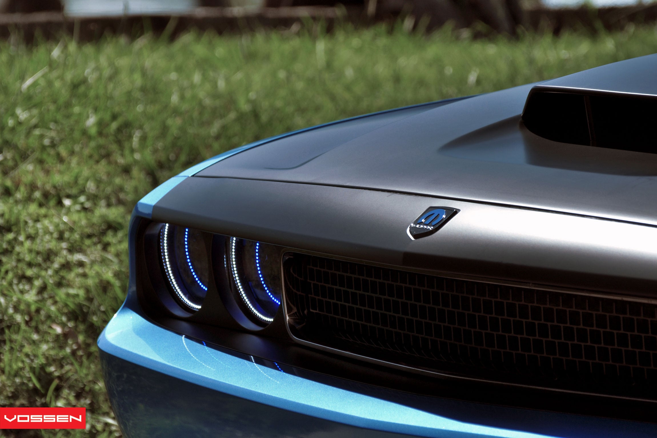 Headlights with Color Halos on Dodge Challenger - Photo by Vossen