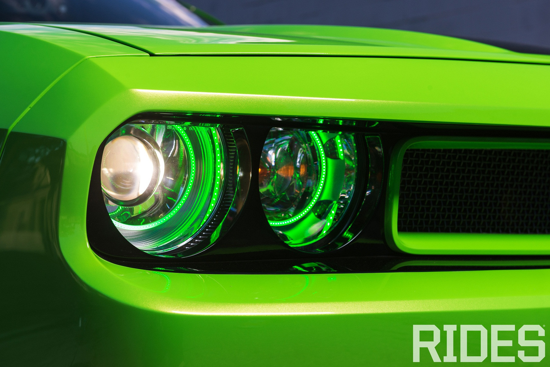 Luxury Muscle Car - Photo by William Stern
