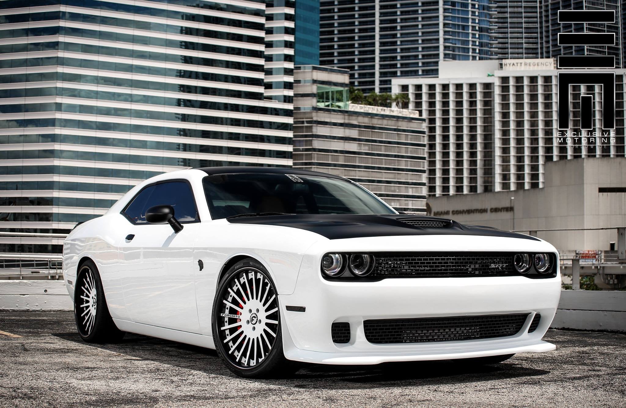 Cold-Blooded Stormtrooper - Black / White Dodge Challenger - Photo by Exclusive Motoring