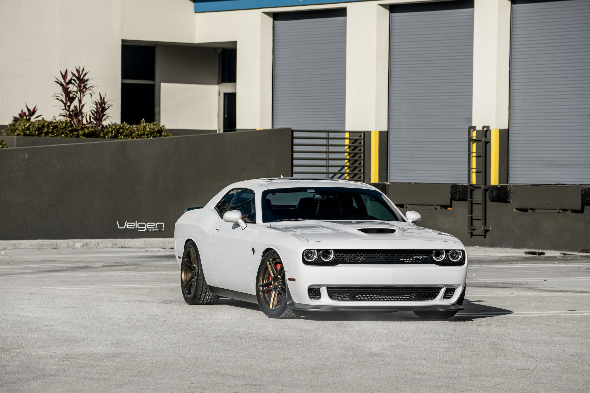 Aftermarket Vented Hood on White Dodge Challenger SRT - Photo by Velgen
