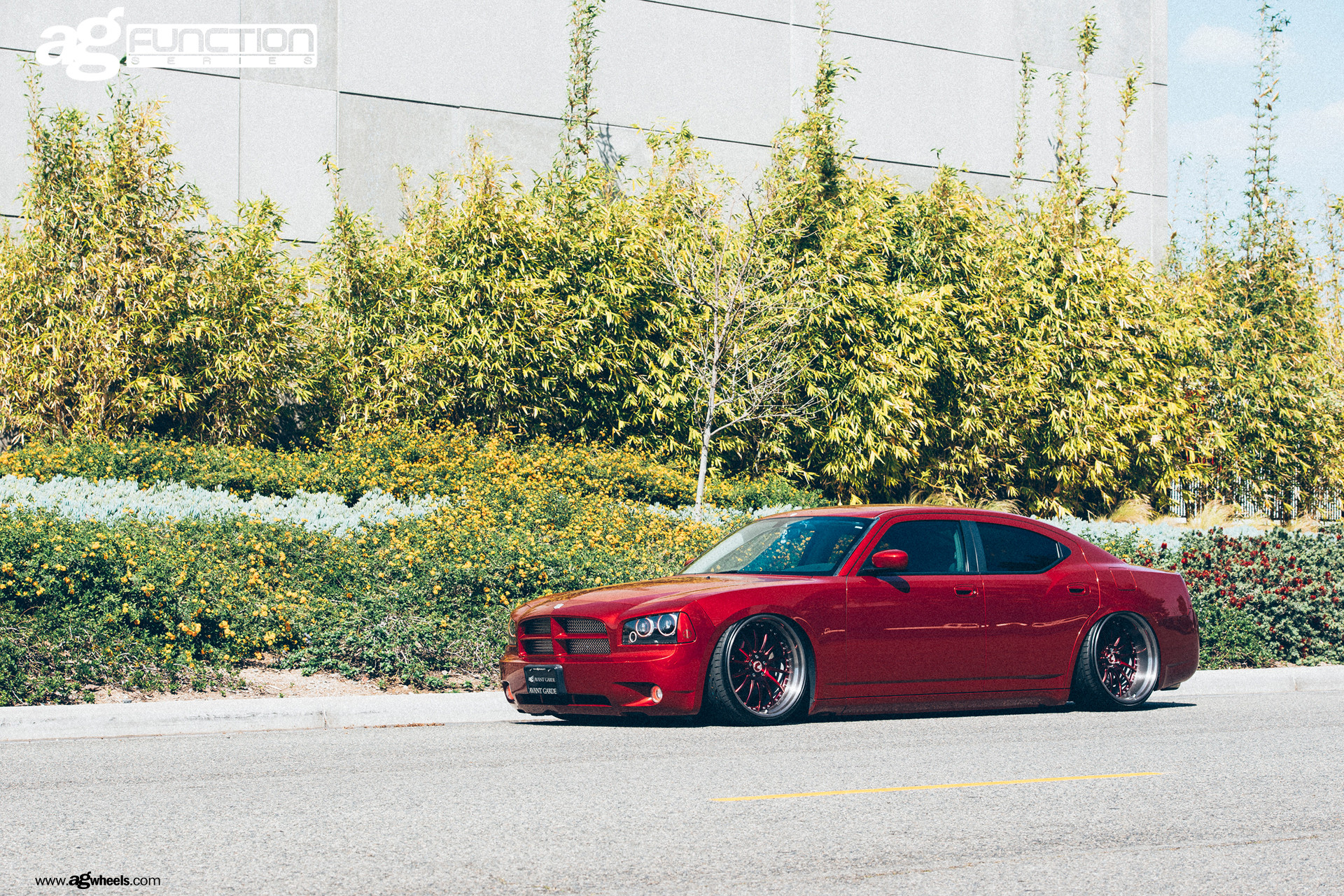 Dodge Charger Halo Headlights - Photo by Avant Garde