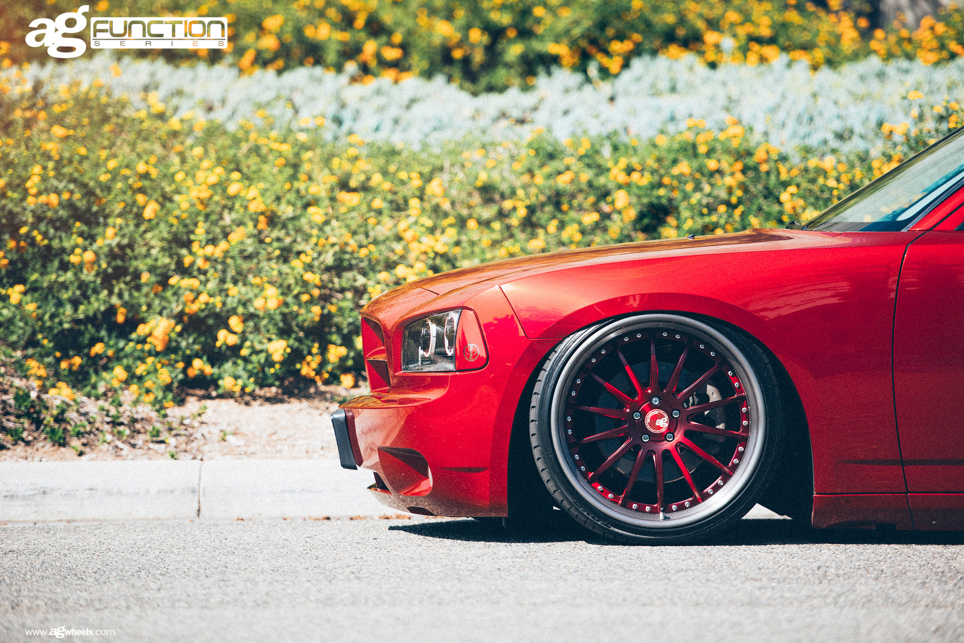 Stance Wheels on Dodge Charger - Photo by Avant Garde