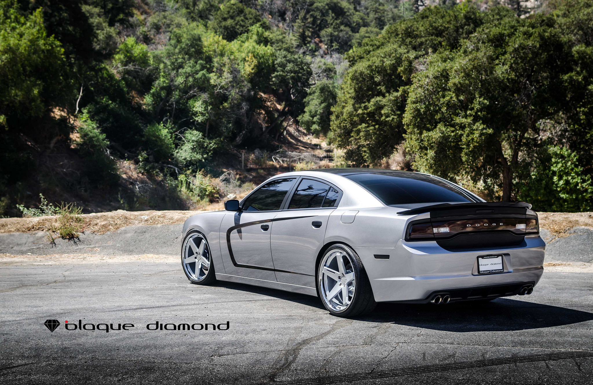 Dodge Charger Black Tinted Taillights - Photo by Black Diamond