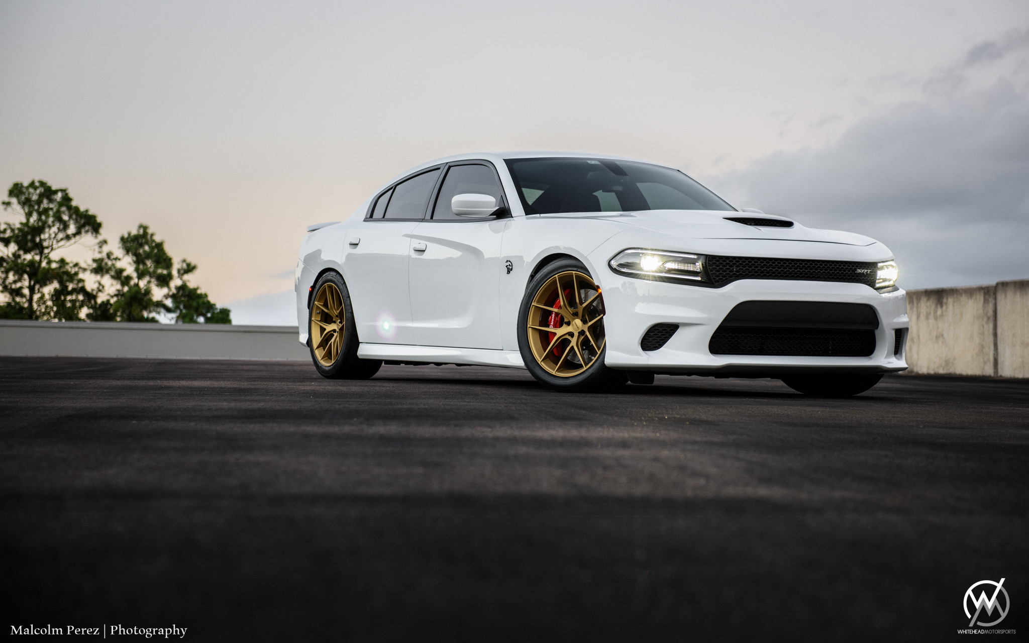 White Dodge Charger with Blacked Out Mesh Grille - Photo by Forgeline Motorsports