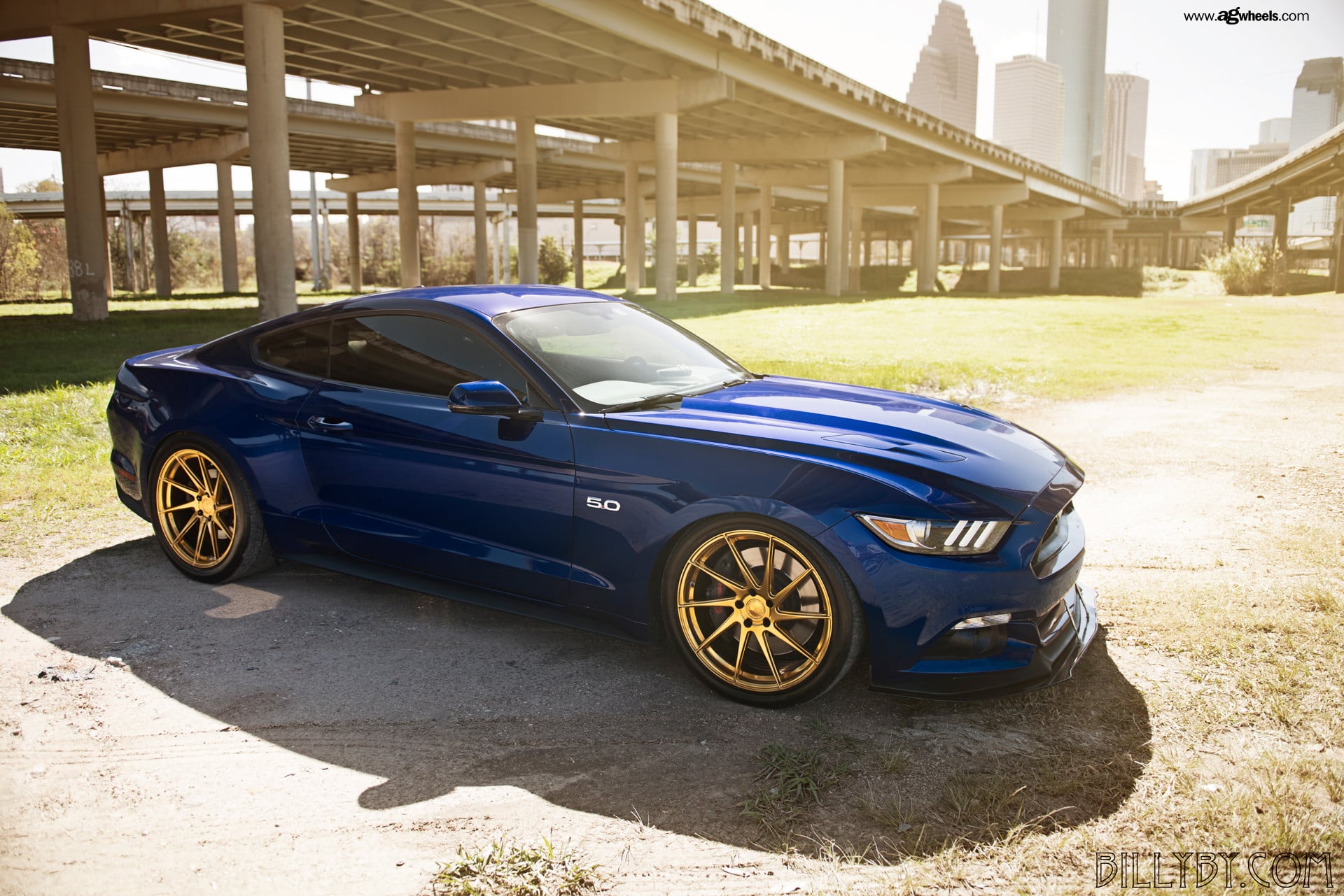 Blue 5.0 Stang on Gold Avant Garde Wheels - Photo by Avant Garde