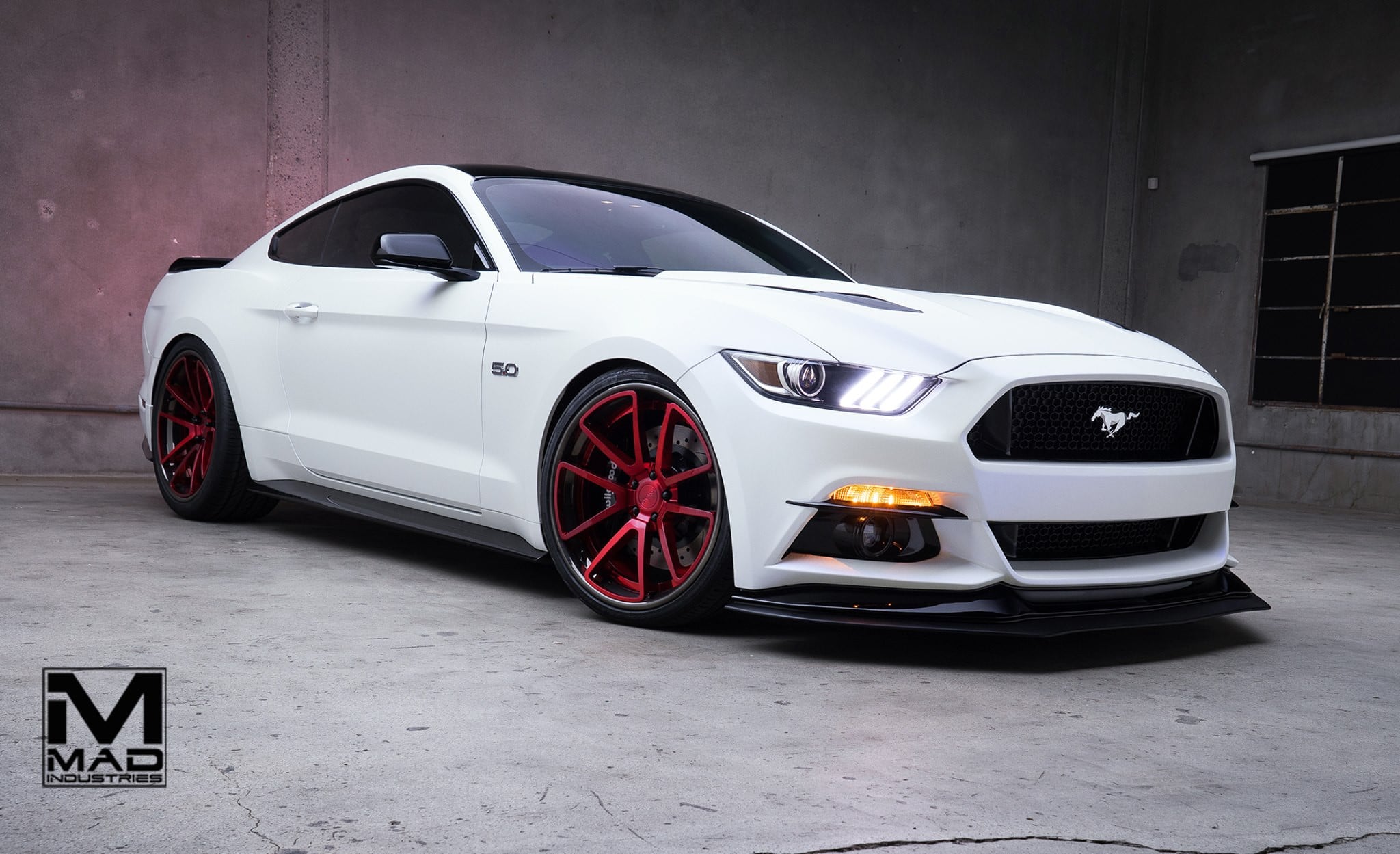 Mustang GT Stanced on Red Custom Painted Rotiform Rims - Photo by MAD Industries