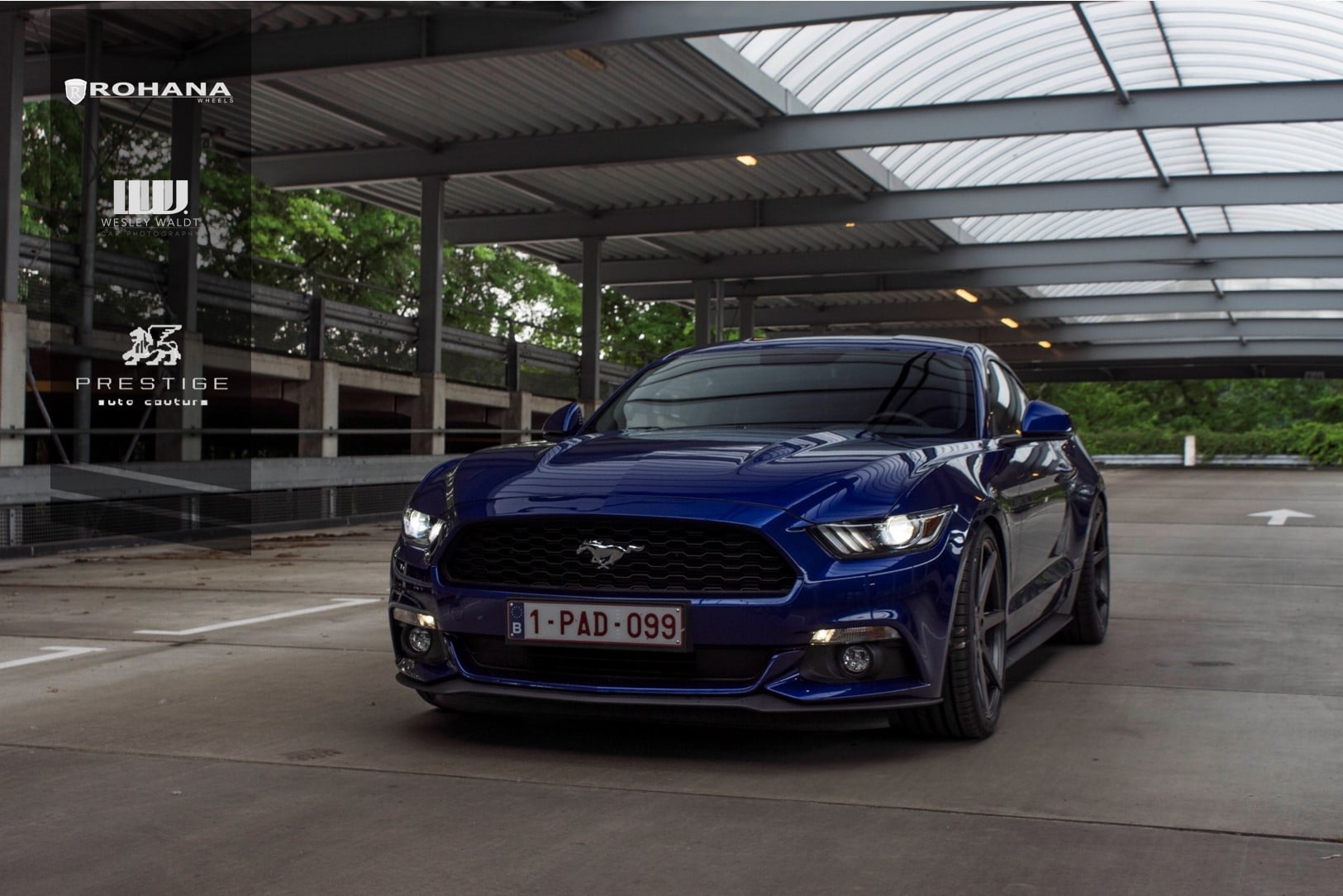 Blue Ford Mustang with Black Custom Grille - Photo by Rohana