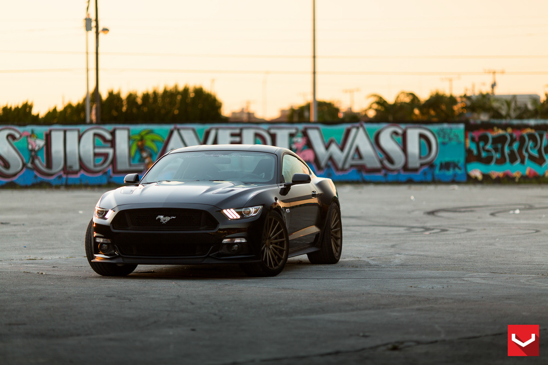Black Ford Mustang 5.0 with Custom Front Bumper - Photo by Vossen