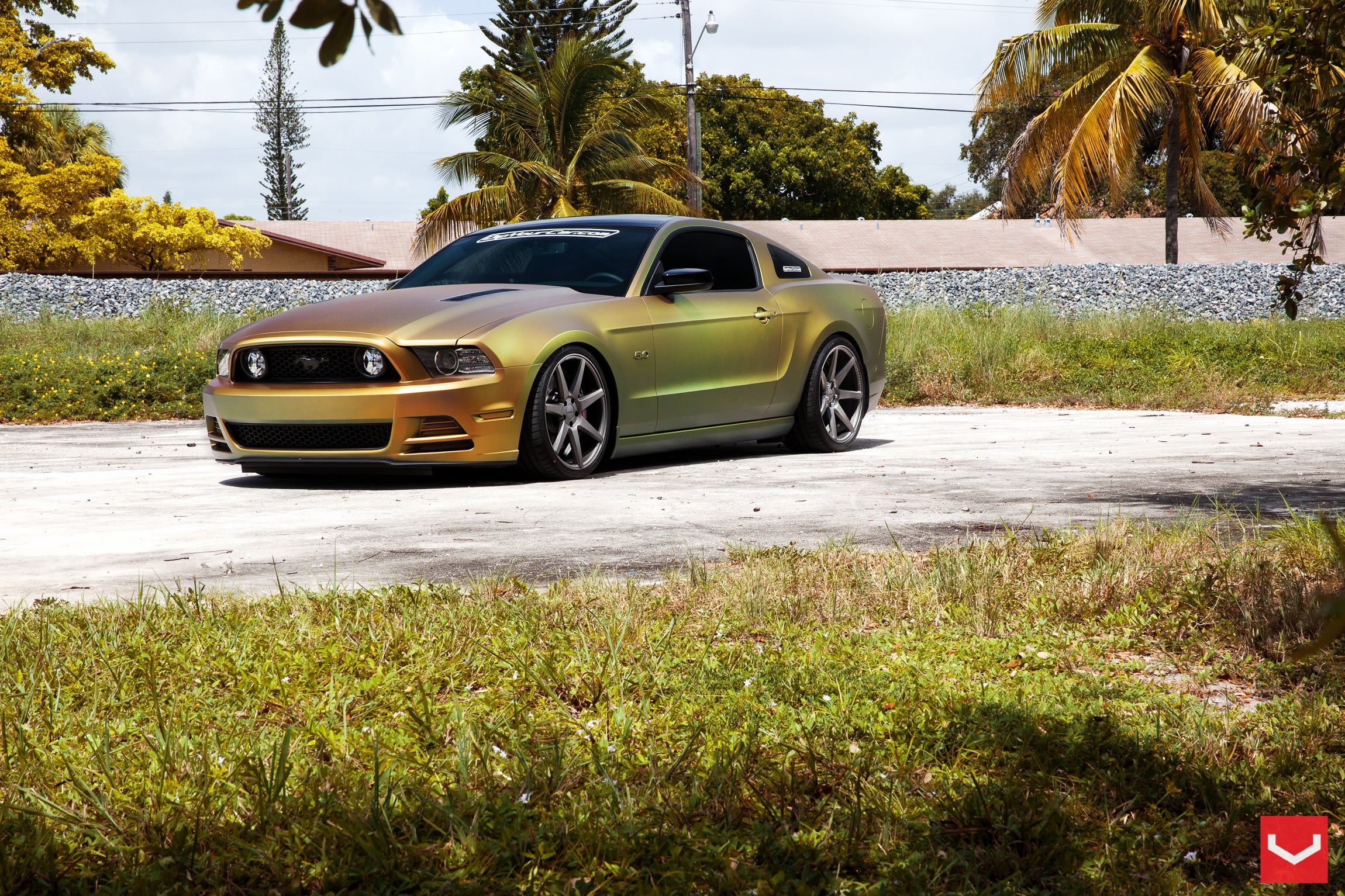 Blacked Out Grille on Custom Painted Ford Mustang - Photo by Vossen