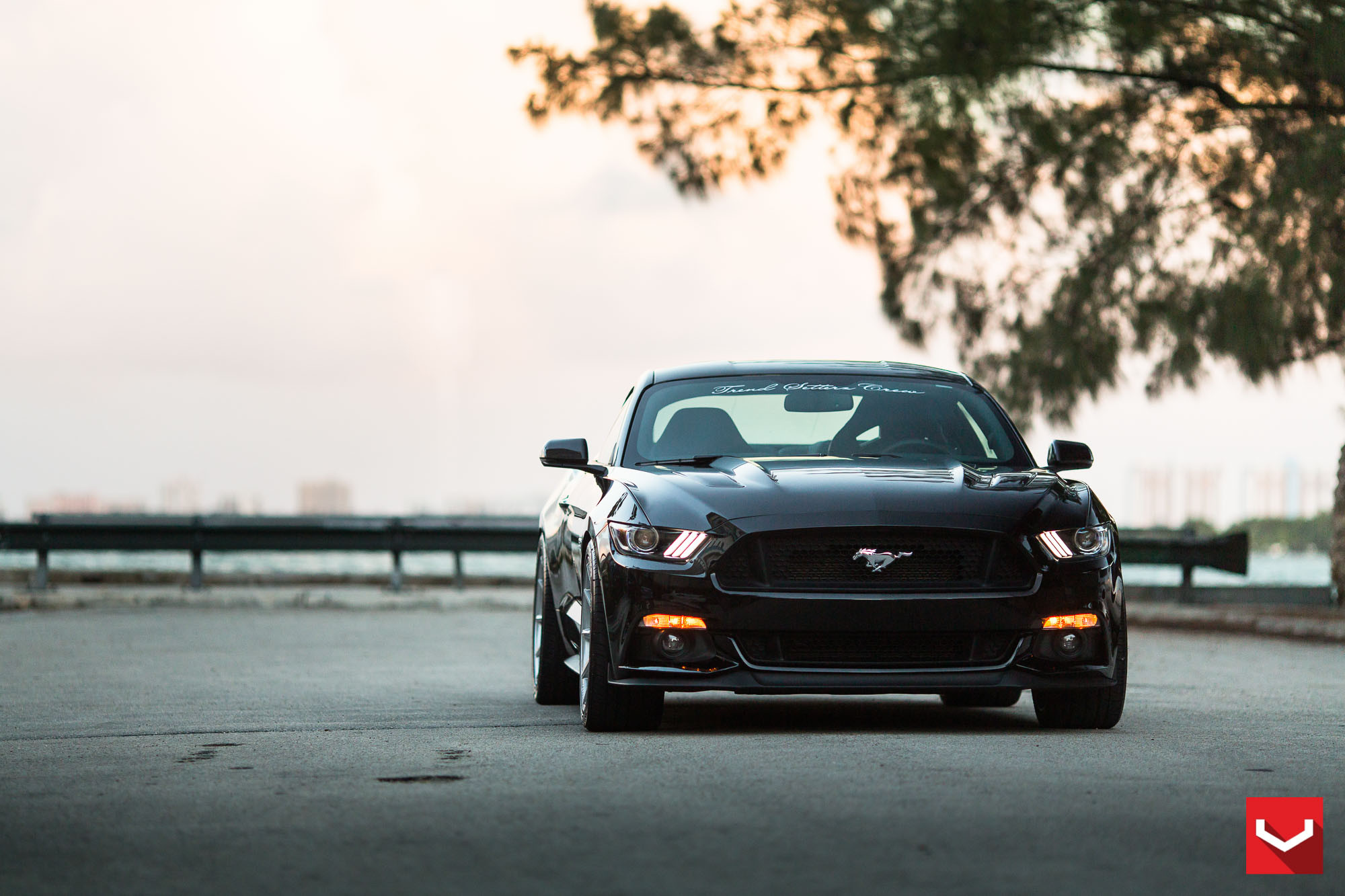 Aftermarket Fog Lights on Black Ford Mustang 5.0 - Photo by Vossen