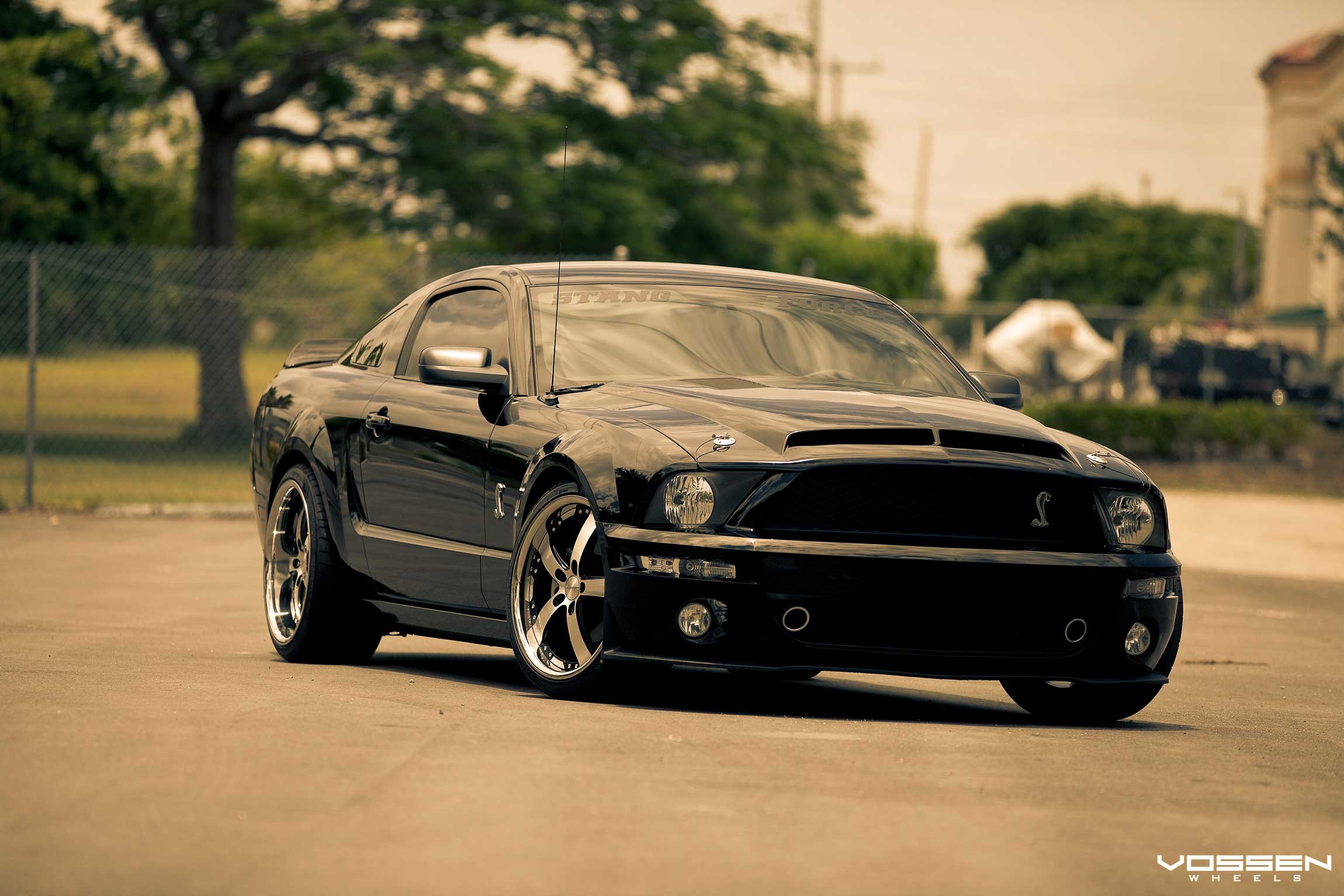 Ford Mustang Shelby gt500 на природе