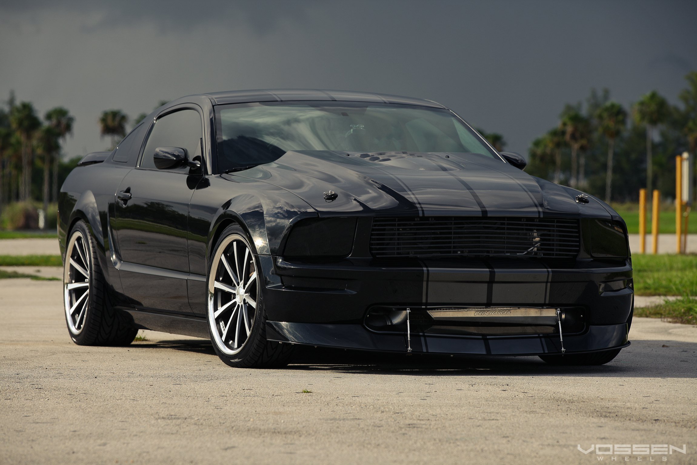 Mustang черный