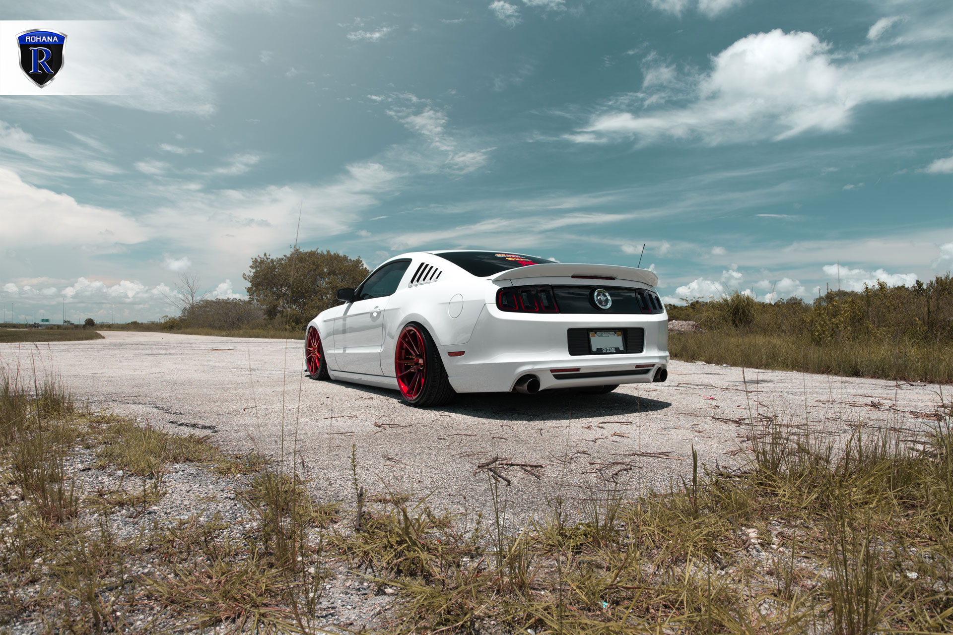 Large Rear Spoiler on White Ford Mustang - Photo by Rohana