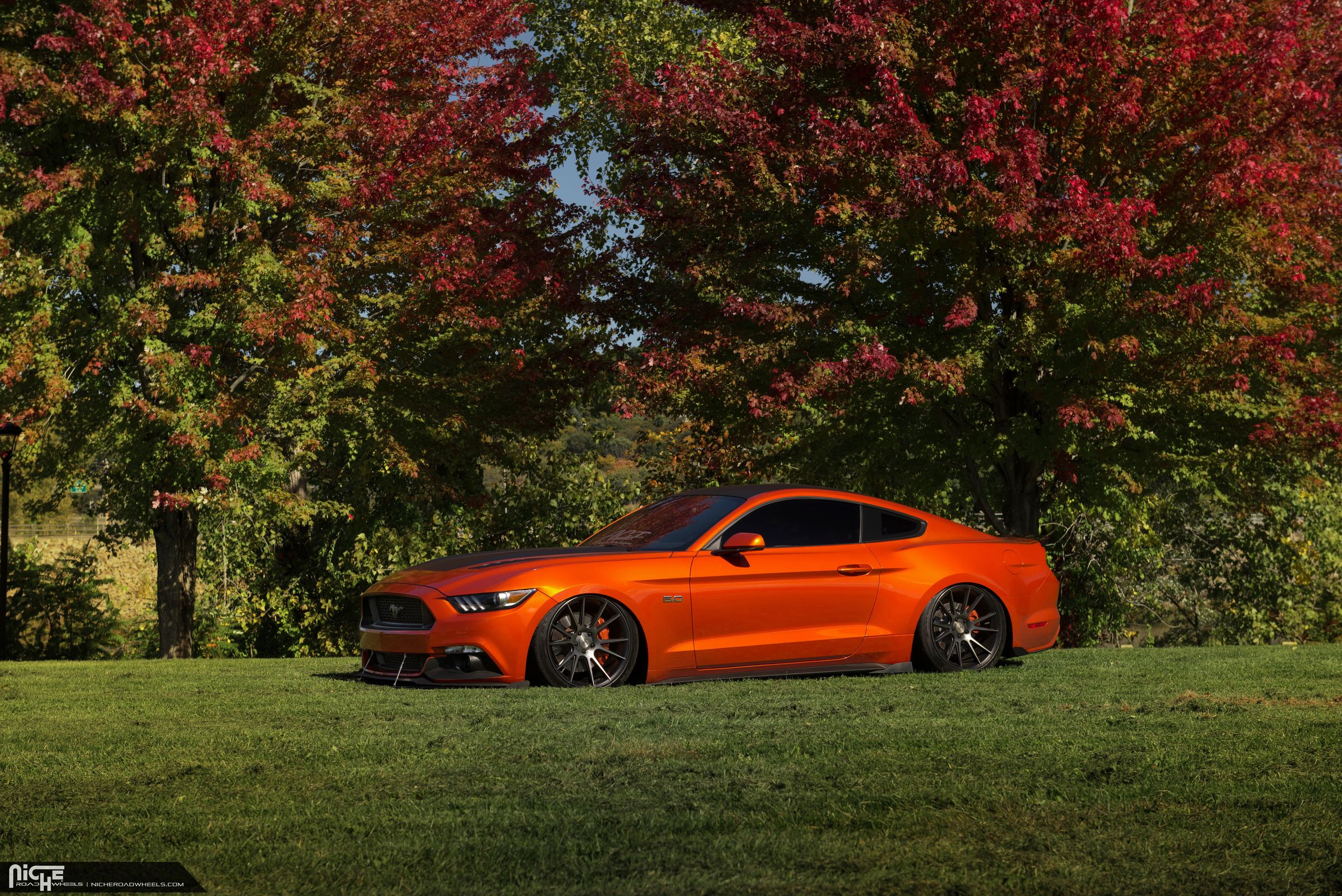 Custom Orange Lowered Ford Mustang 5.0 - Photo by Niche