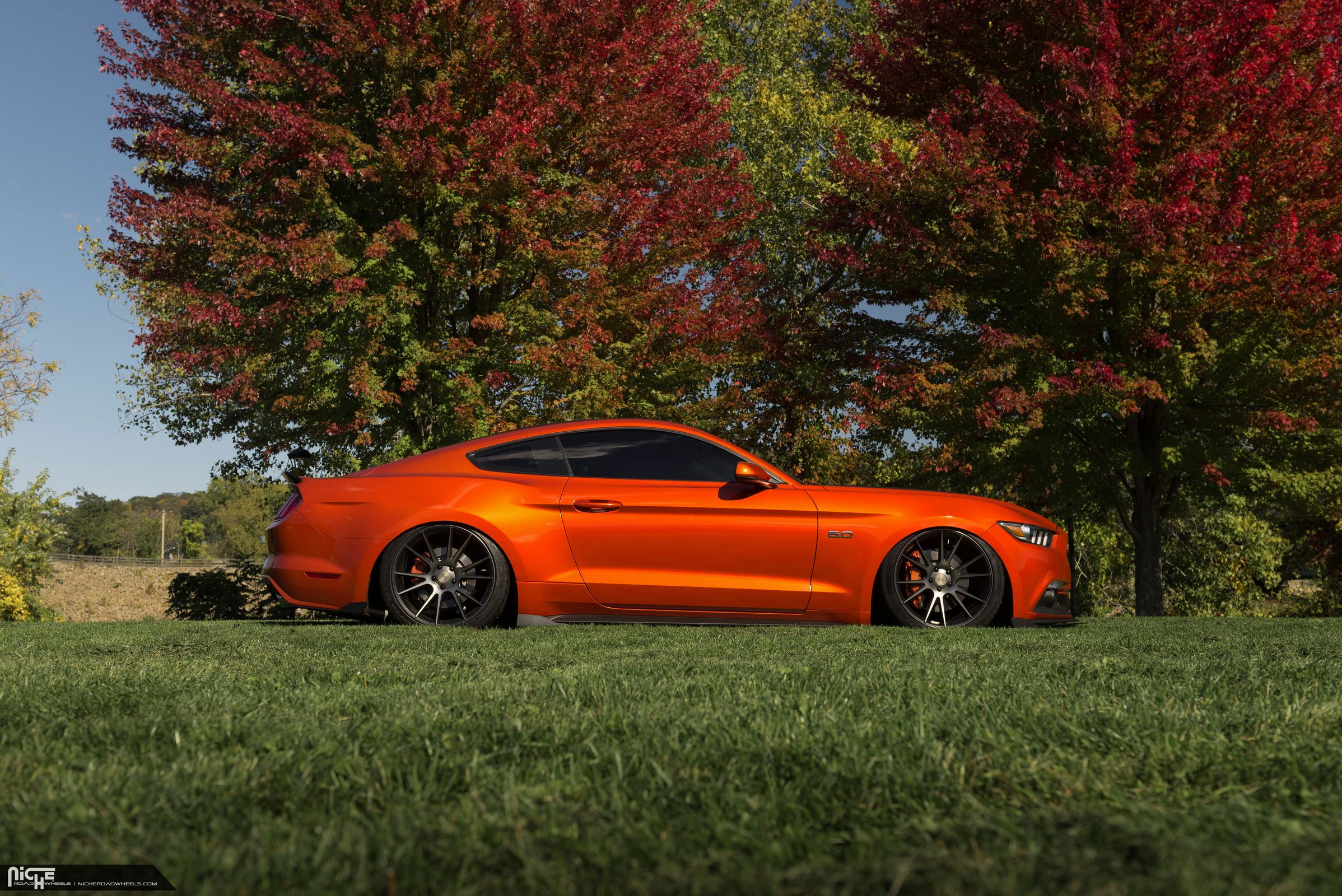 Black Vicenza Niche Rims on Orange Ford Mustang - Photo by Niche