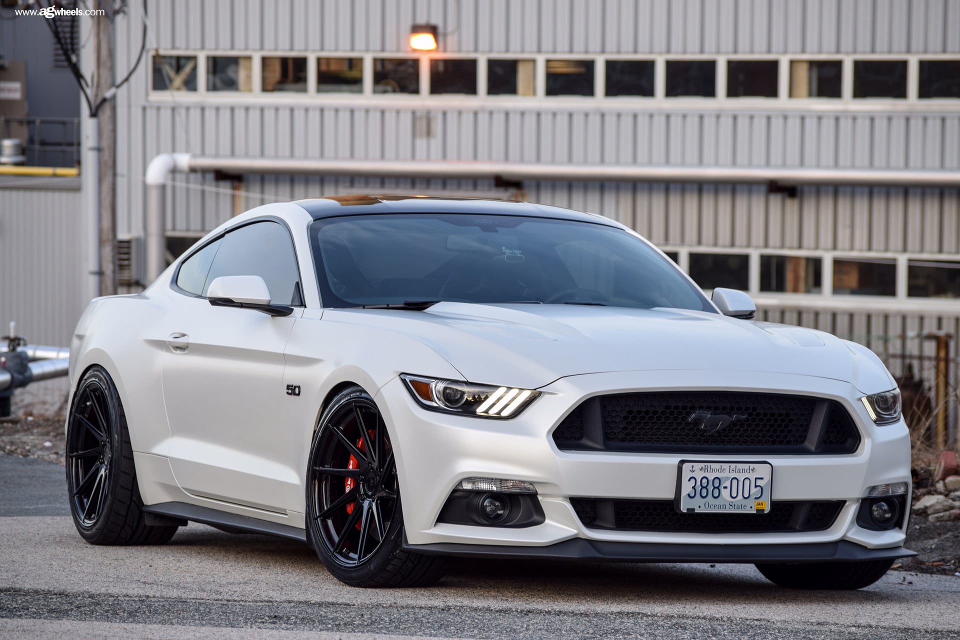 White Ford Mustang 5.0 Custom Front Lip - Photo by Avant Garde Wheels