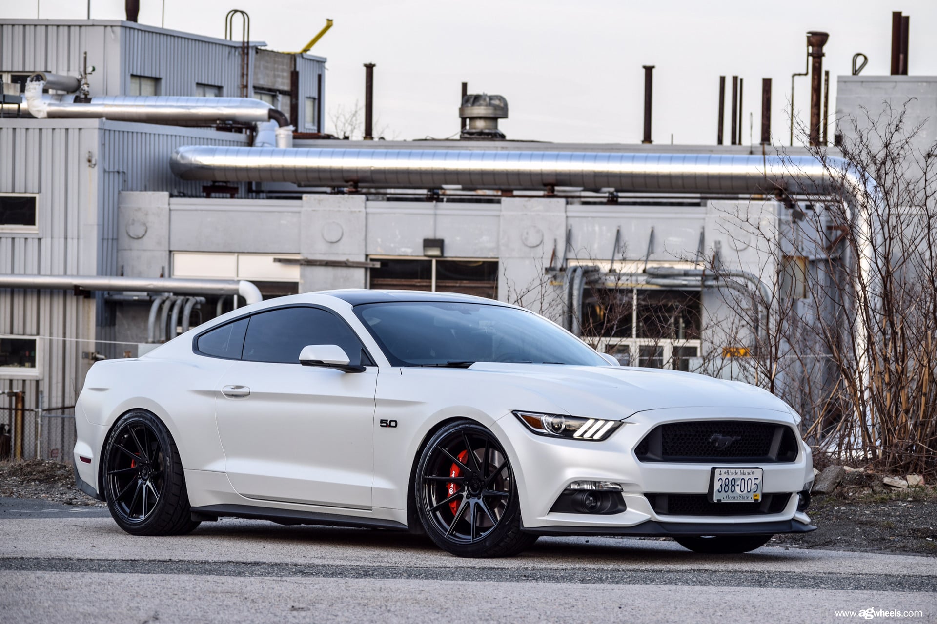 White Ford Mustang with Black Avant Garde Wheels - Photo by Avant Garde Wheels