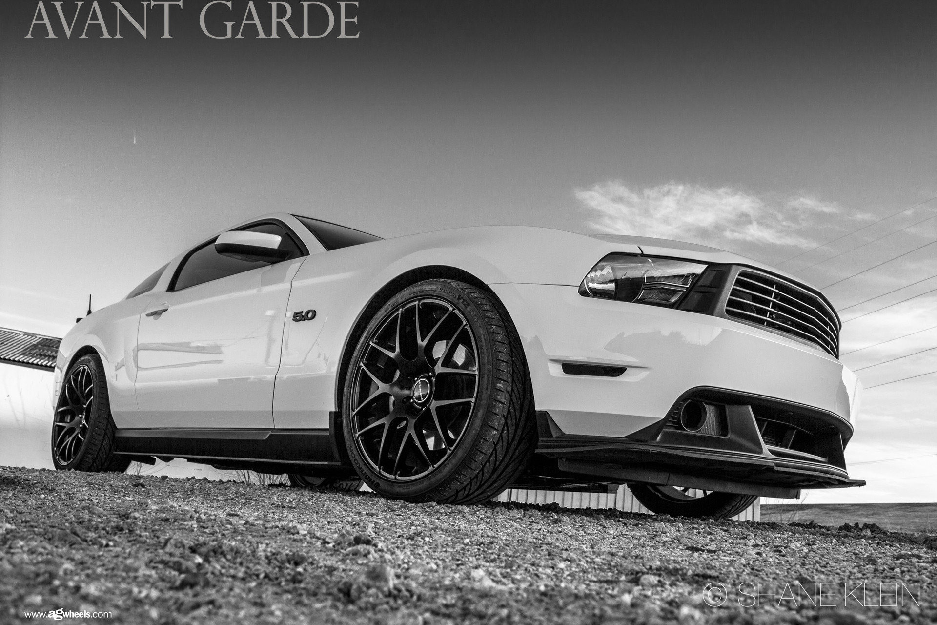White Ford Mustang with Custom Chrome Grille - Photo by Avant Garde Wheels