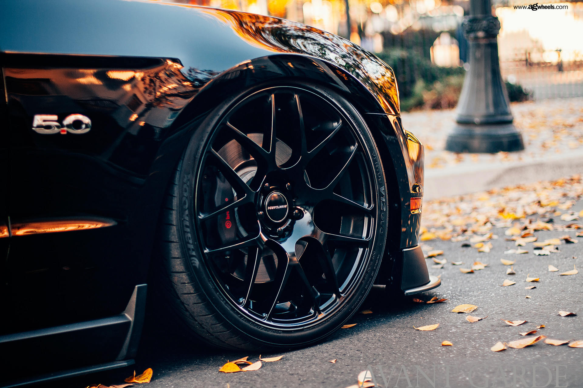 Gloss Black Avant Garde Rims on Ford Mustang 5.0 - Photo by Avant Garde Wheels