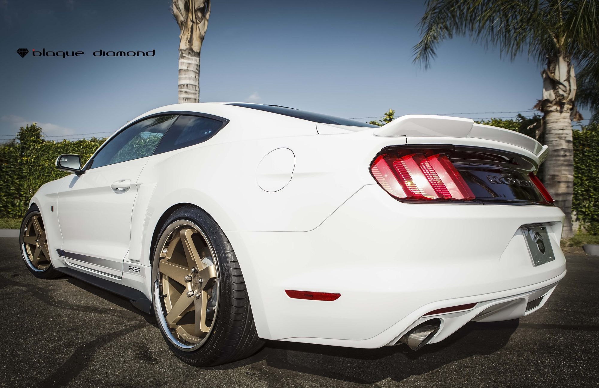 Ford Mustang White Custom