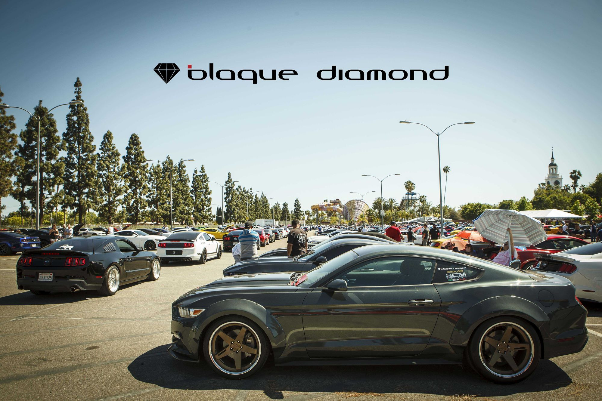 Black Ford Mustang with Aftermarket Fender Flares - Photo by Blaque Diamond