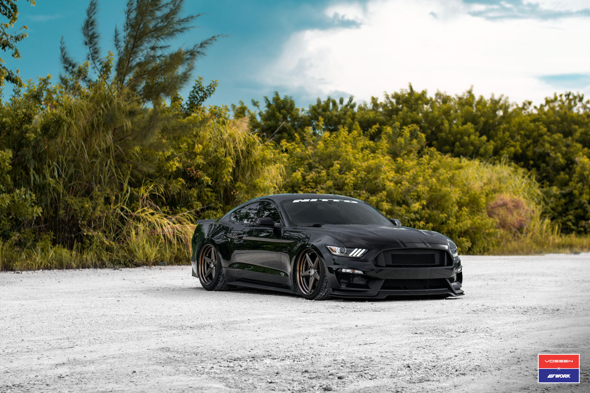 Custom Blacked Out Ford Mustang 5.0 - Photo by Vossen