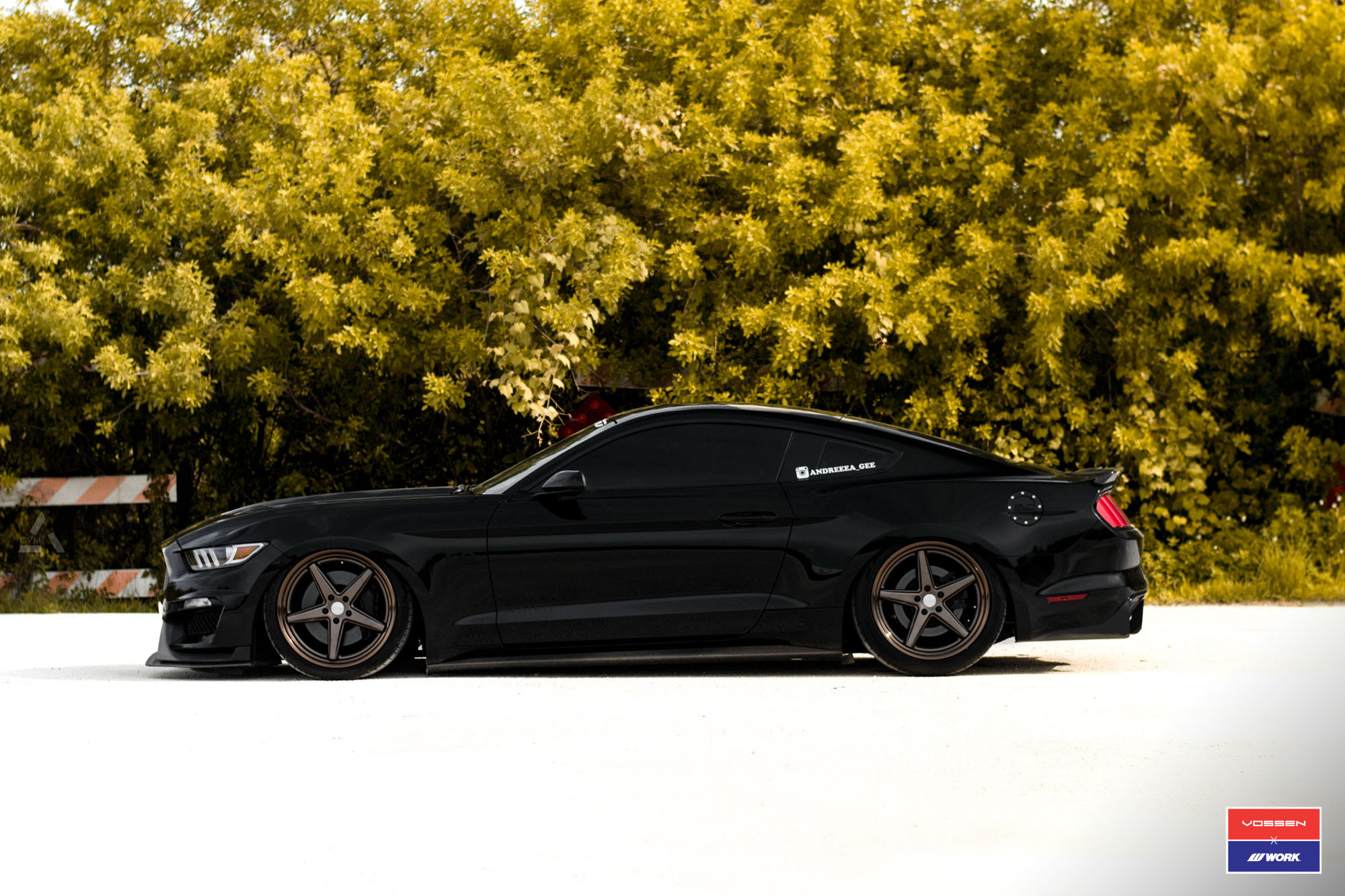 Black Ford Mustang 5.0 with Bronze Vossen Rims - Photo by Vossen