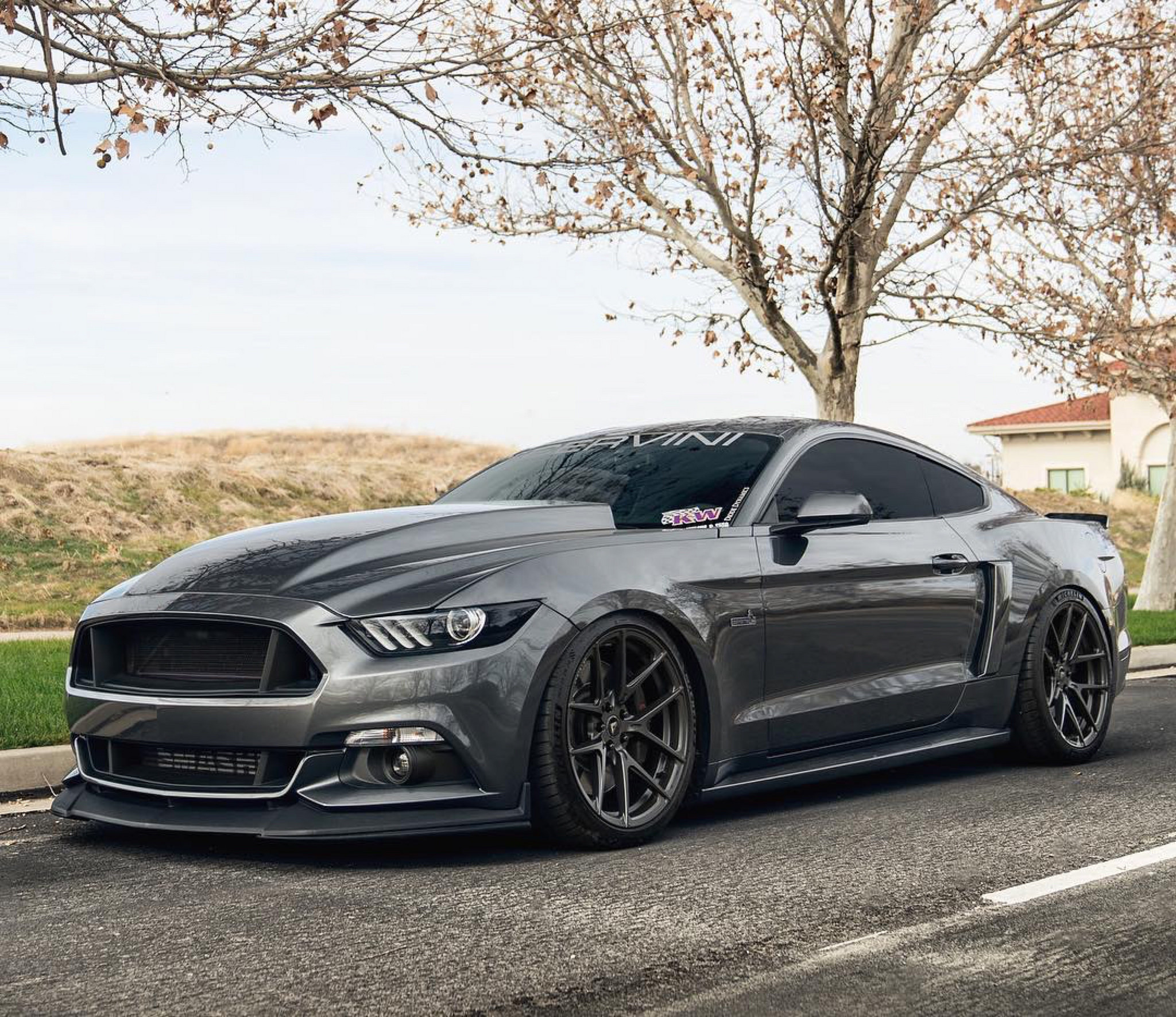 Gray Ford Mustang with Dark Smoke Headlights  - Photo by Vorsteiner