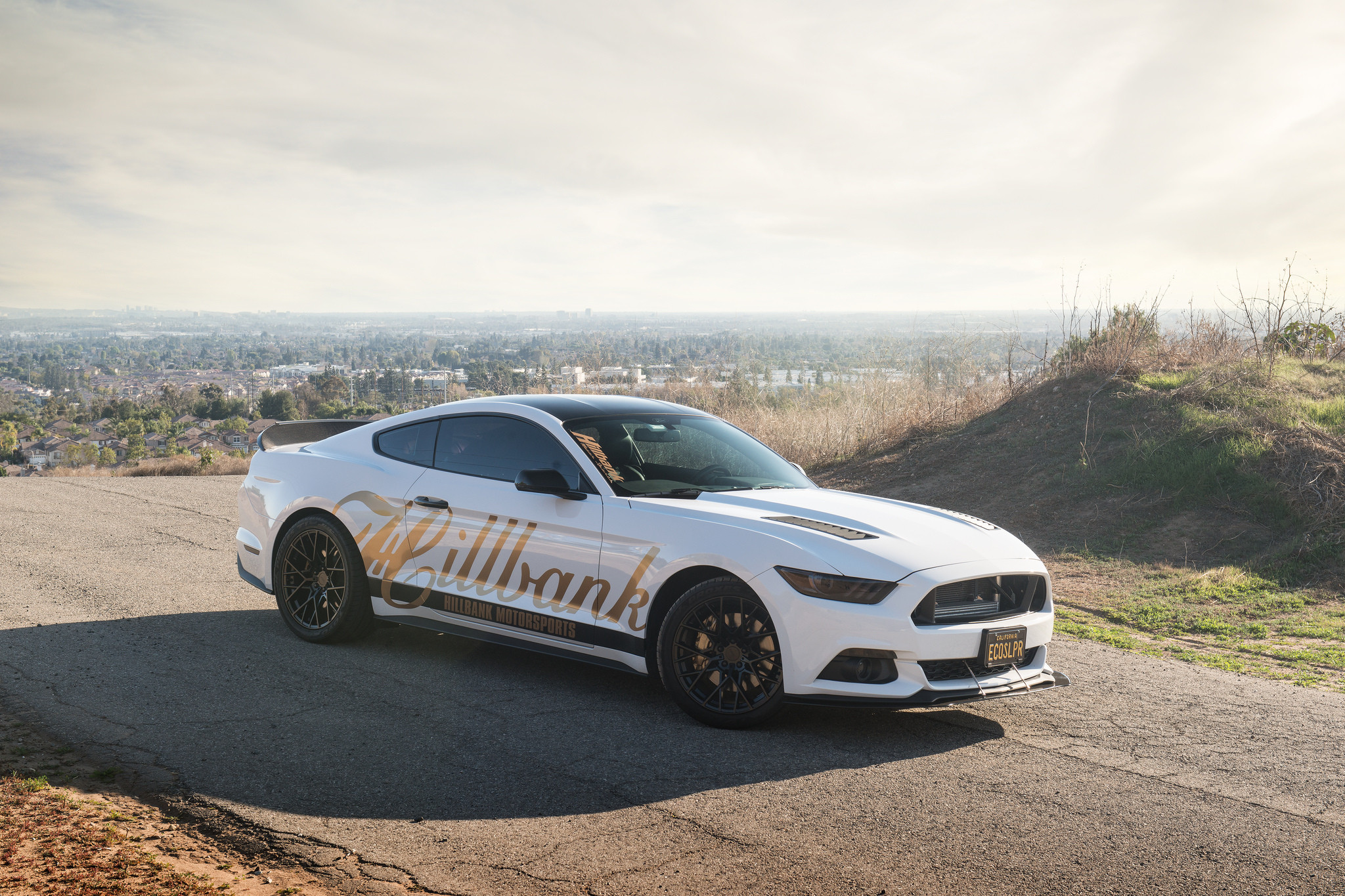White Ford Mustang with Custom Vented Hood - Photo by TSW Alloy Wheels