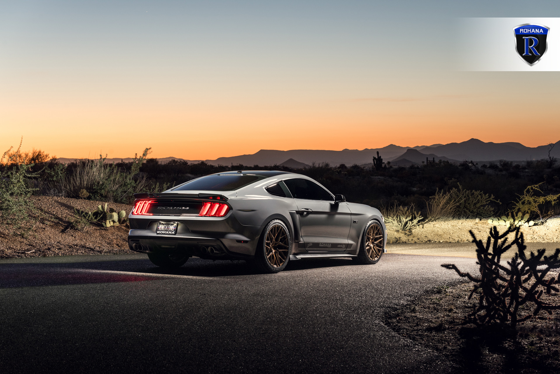 Custom Gray Ford Mustang Roush Rear Spoiler - Photo by Rohana Wheels
