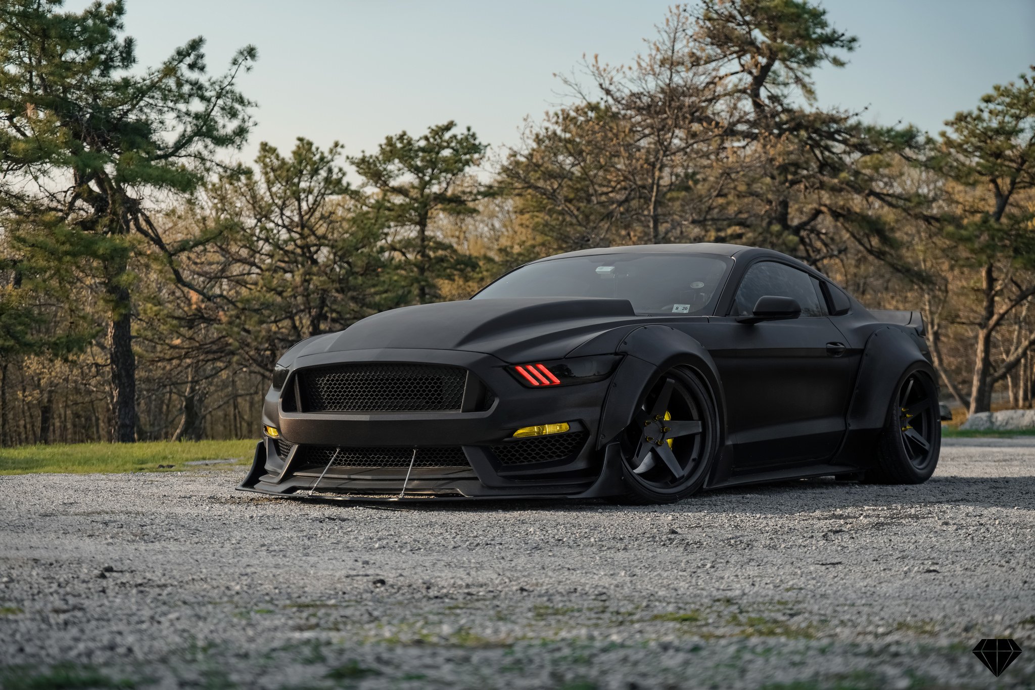 Black tuning. Ford Mustang 2015 черный матовый. Форд Мустанг черный. Форд Мустанг матовый. Форд Мустанг gt матовый.