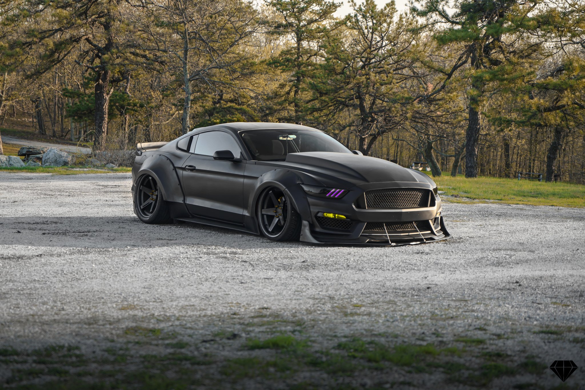 mustang ford