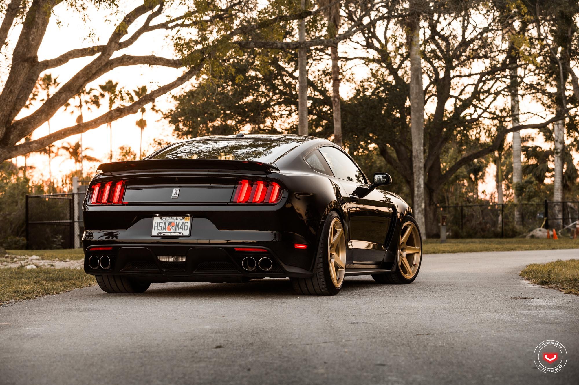 Black ford. Черный Мустанг. Ford Mustang autumn. Мустанг низкопрофильные диски на рабочий стол 1920х1080. Машина Форд чёрная самая ахуена.