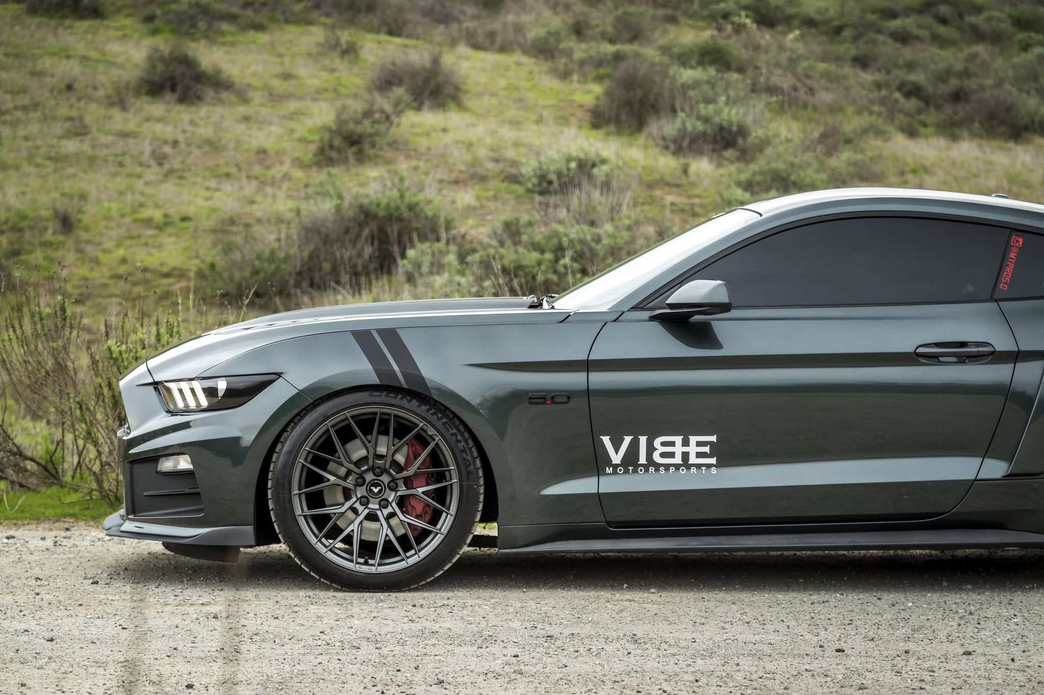 Ford Mustang GT 5.0 - Photo by Vibe Motorsports