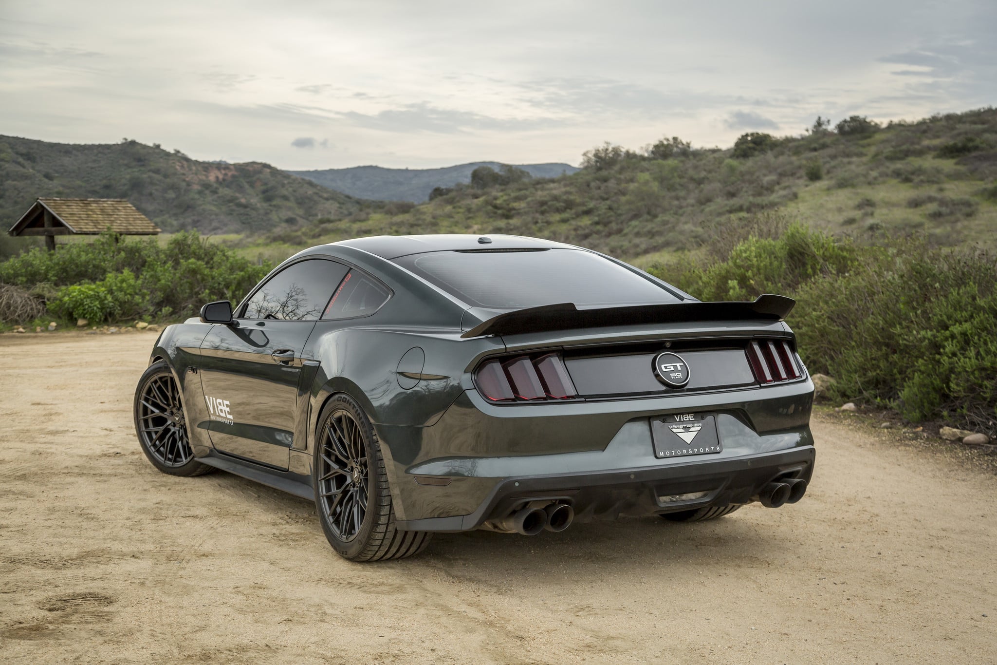 Ford Mustang 50 years anniversary edition - Photo by Vibe Motorsports