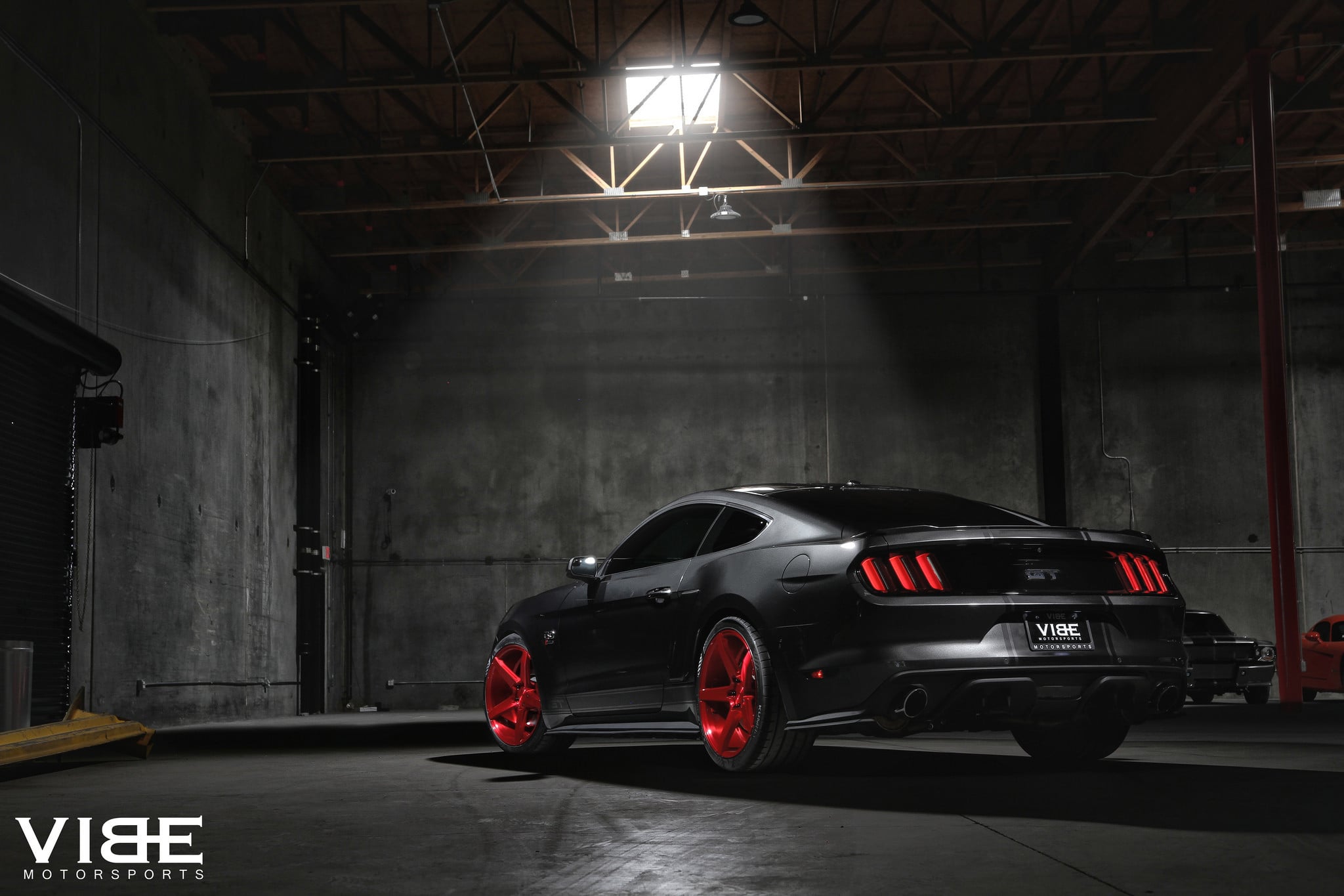 Ford Mustang GT Photography - Photo by Vibe Motorsports