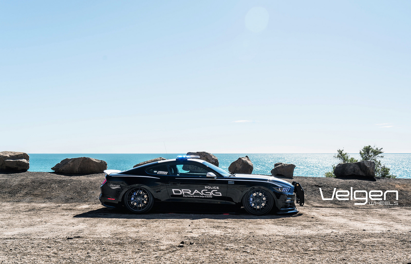 Slammed Ford Mustang With Police Vinyl Decals - Photo by Velgen