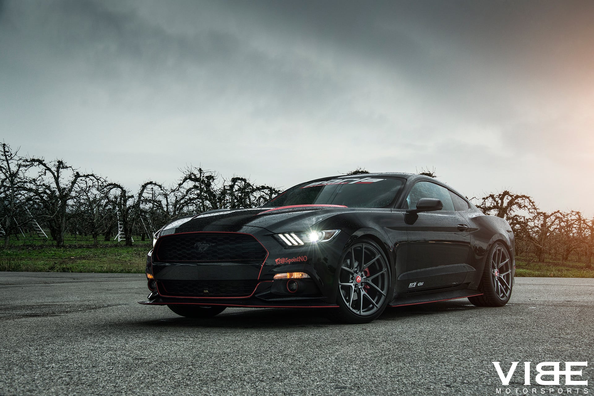 Menacing Ford Mustang GT S550 With Borla Exhaust - Photo by Vibe Motorsports