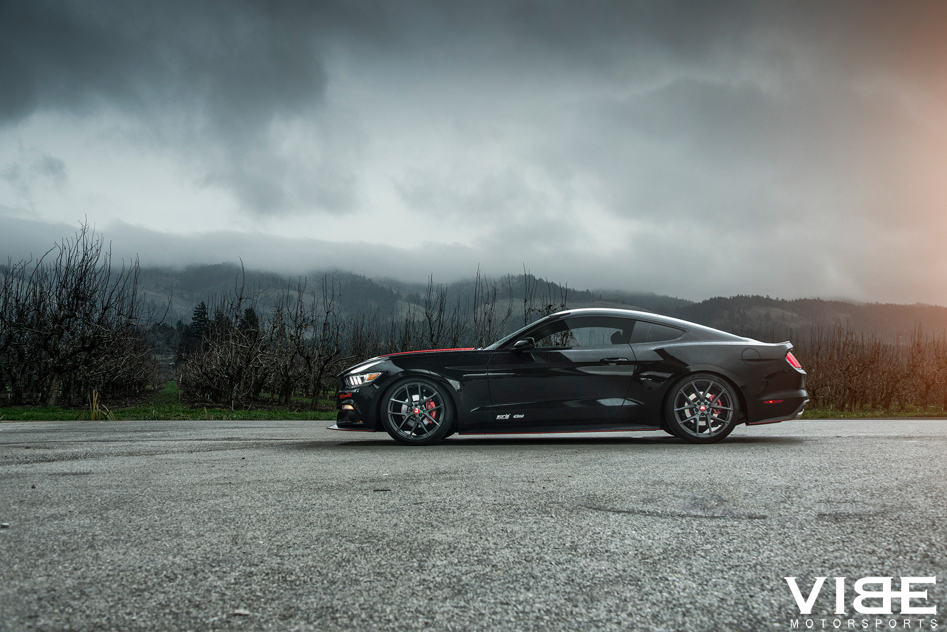 Black Ford Mustang GT S550 Pictures - Photo by Vibe Motorsports