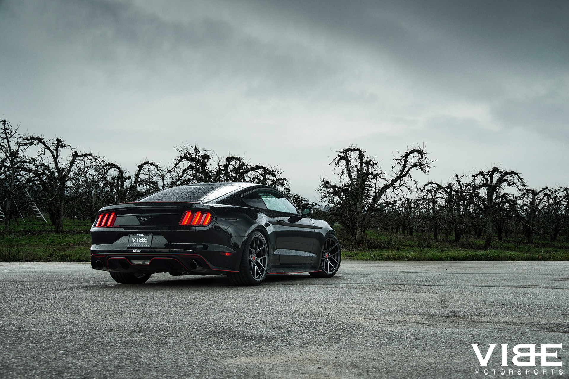 Customized Ford Mustang GT With Red Bumper Accents - Photo by Vibe Motorsports